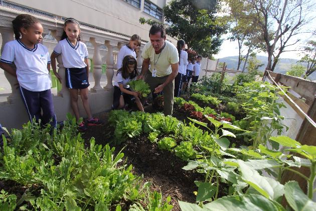 Clima de festa e animação marcam a colheita da horta da Emef Naly