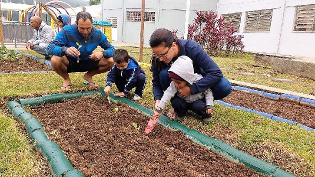 Professores, crianças e comunidade fazem horta para incentivar alimentação saudável